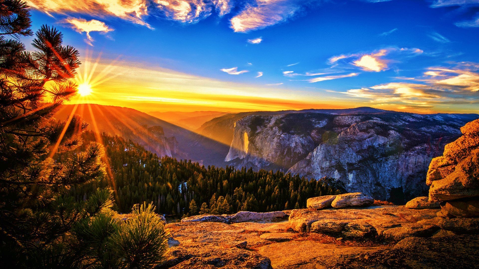 Ten Ways to Reap Miracles