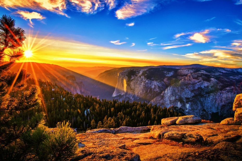 Ten Ways to Reap Miracles